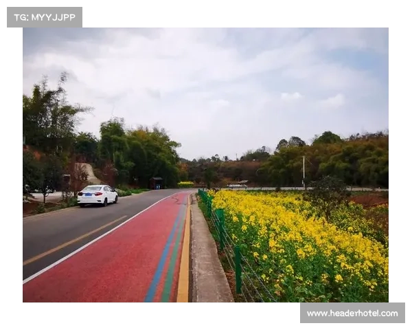 自贡马拉松2019赛道 自贡马拉松2019赛道