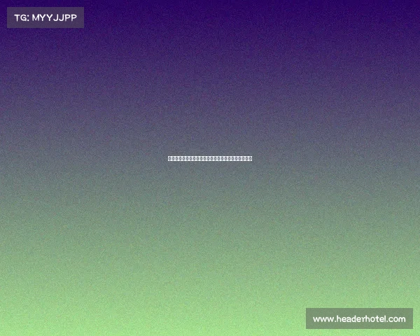 巴西智力赛事—巴西智力赛事璀璨盛会智慧挑战新纪元